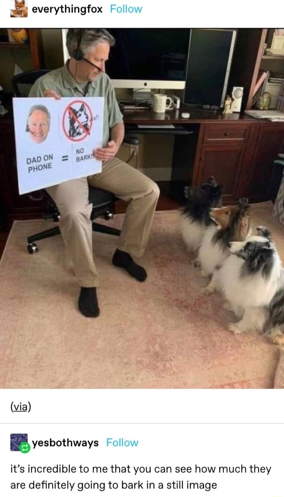 everythingfox yesbothways its incredible to me that you can see how much they are definitely going to bark in a still image