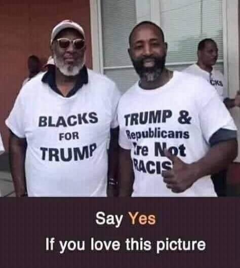 BLACKS FOR TRUMP
TRUMP & Republicans ARE NOT RACISTS
Say Yes If you love this picture