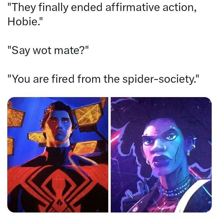 They finally ended affirmative action Hobie Say wot mate You are fired from the spider society