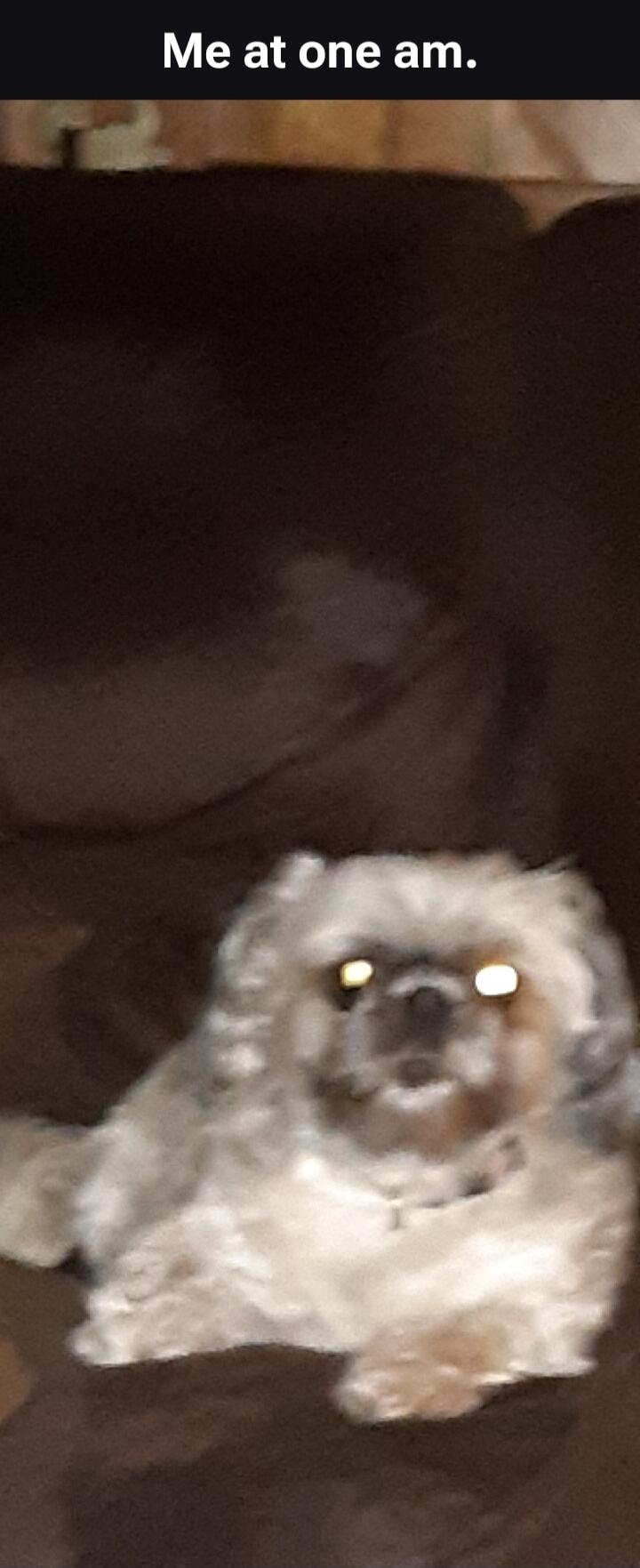 Me at one am.
Session ID: 1031287.