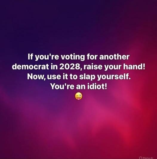 If you're voting for another democrat in 2028, raise your hand! Now, use it to slap yourself. You're an idiot! 🤪