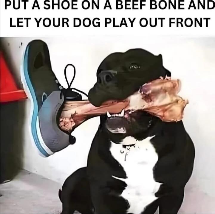 PUT A SHOE ON A BEEF BONE AND LET YOUR DOG PLAY OUT FRONT