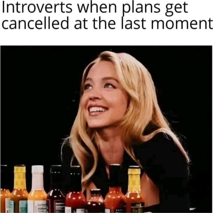 Introverts when Ip ans get cancelled at the last mo