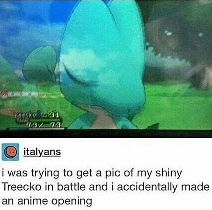 B italyans i was trying to get a pic of my shiny Treecko in battle and i accidentally made an anime opening