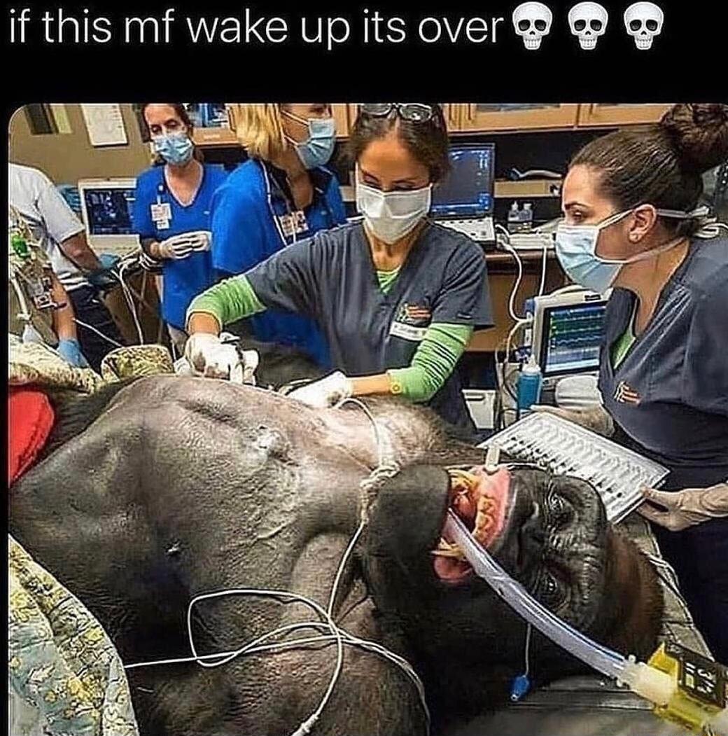 if this mf wake up its over