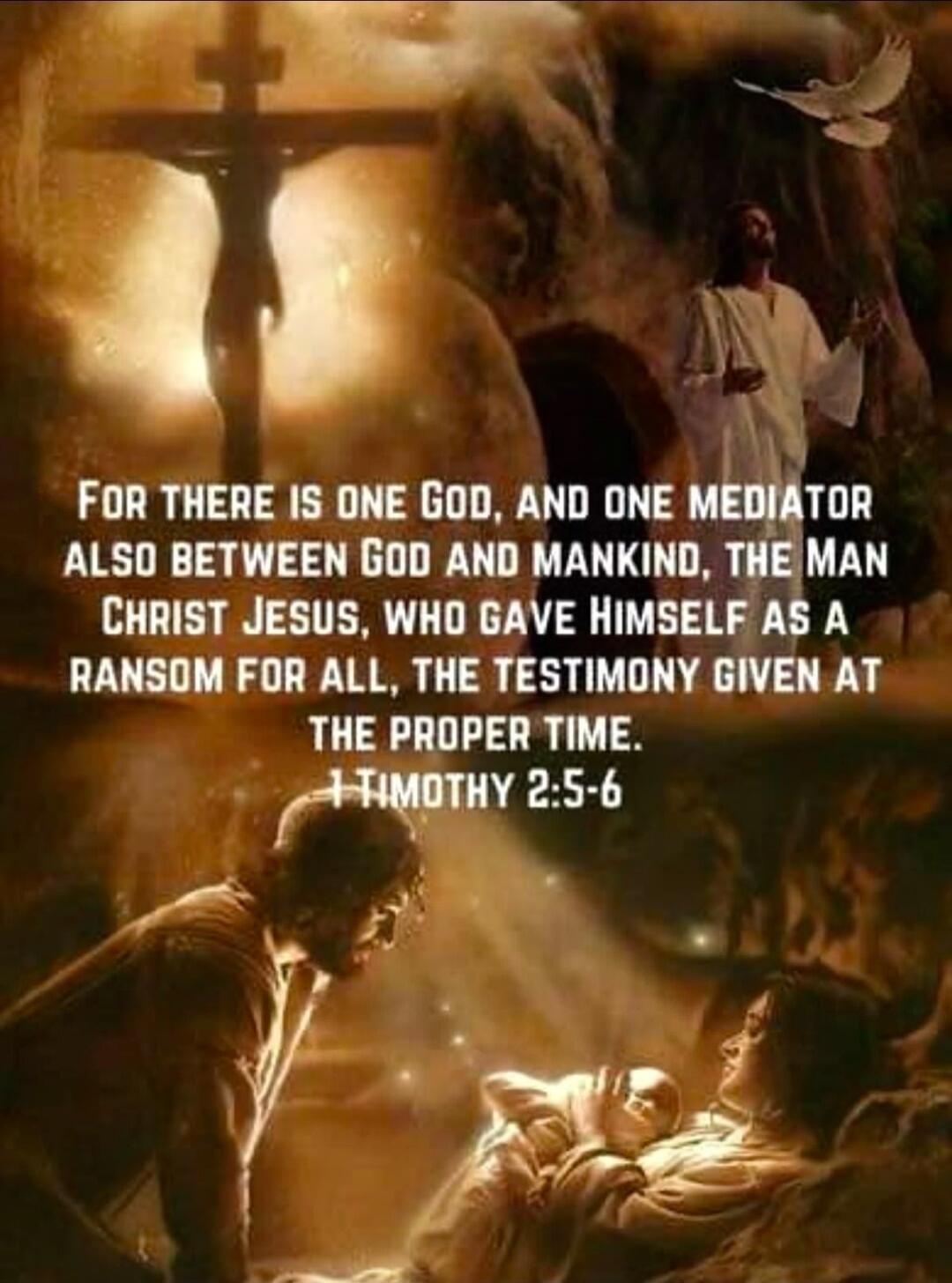 FOR THERE IS ONE GOD, AND ONE MEDIATOR ALSO BETWEEN GOD AND MANKIND, THE MAN CHRIST JESUS, WHO GAVE HIMSELF AS A RANSOM FOR ALL, THE TESTIMONY GIVEN AT THE PROPER TIME. 1 TIMOTHY 2:5-6