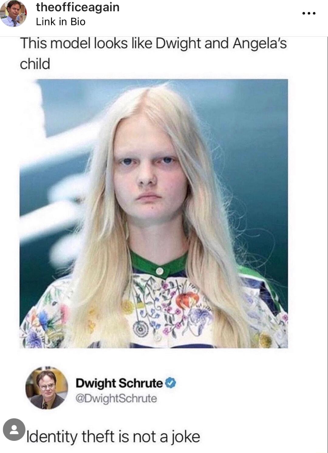 e theofficeagain Link in Bio This model looks like Dwight and Angelas child DwightSchrute Identity theft is not a joke