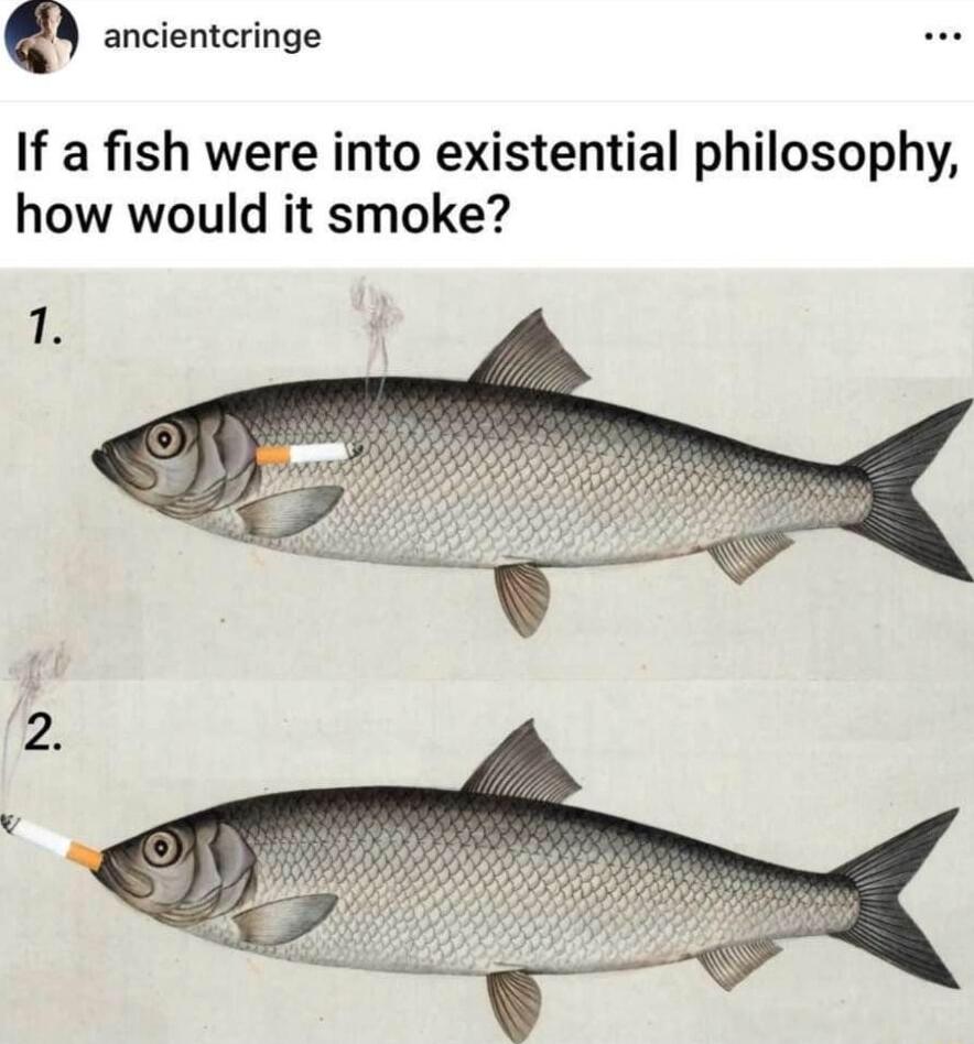 ancientcringe If a fish were into existential philosophy how would it smoke