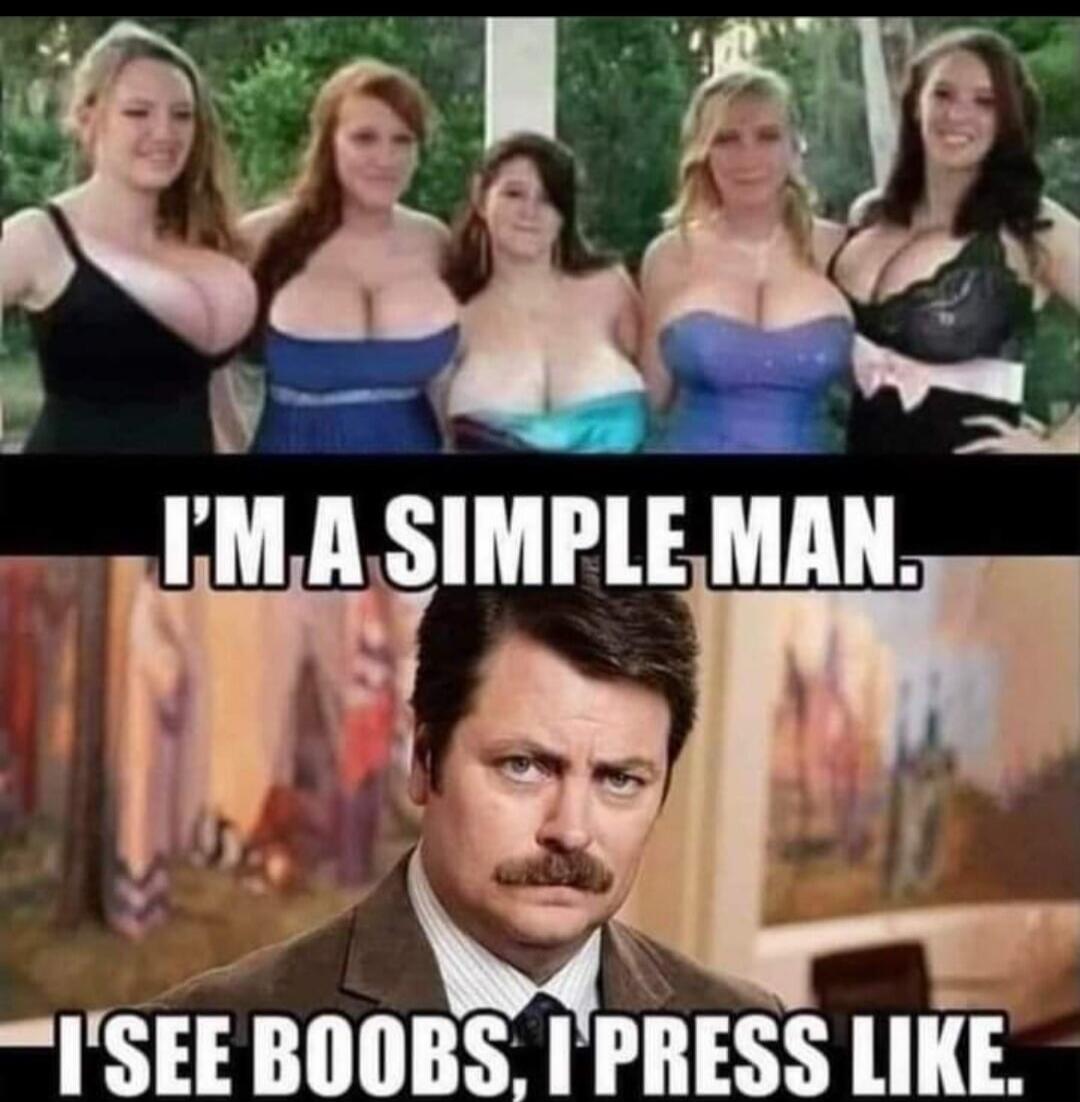 I'M A SIMPLE MAN. I SEE BOOBS, I PRESS LIKE.
