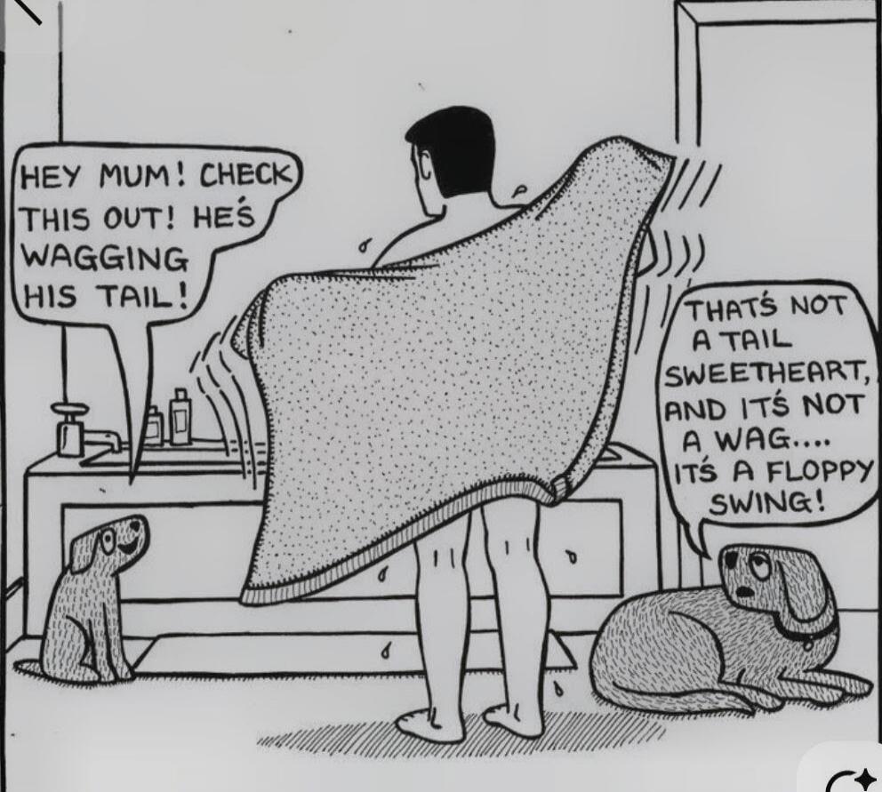 HEY MUM! CHECK THIS OUT! HE'S WAGGING HIS TAIL! THAT'S NOT A TAIL SWEETHEART, AND IT'S NOT A WAG.... IT'S A FLOPPY SWING!