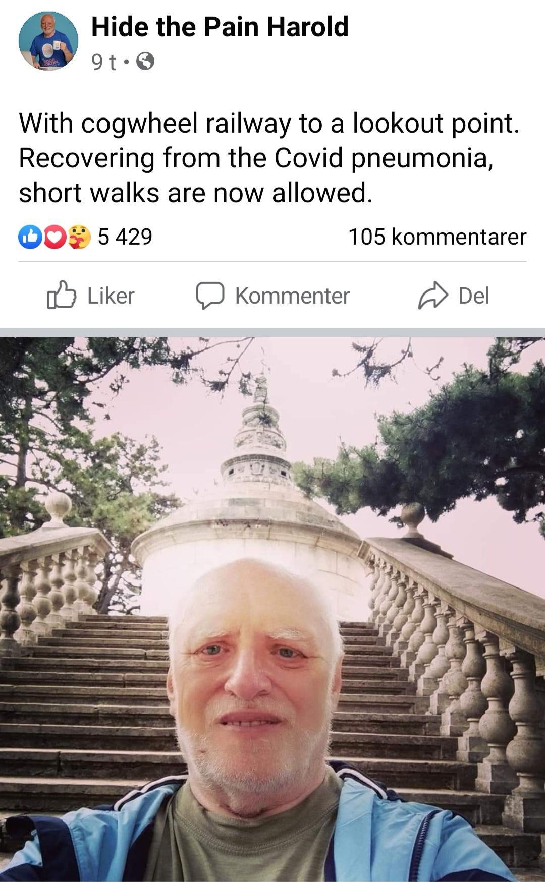 2 Hide the Pain Harold o0 With cogwheel railway to a lookout point Recovering from the Covid pneumonia short walks are now allowed QOP 5429 105 kommentarer