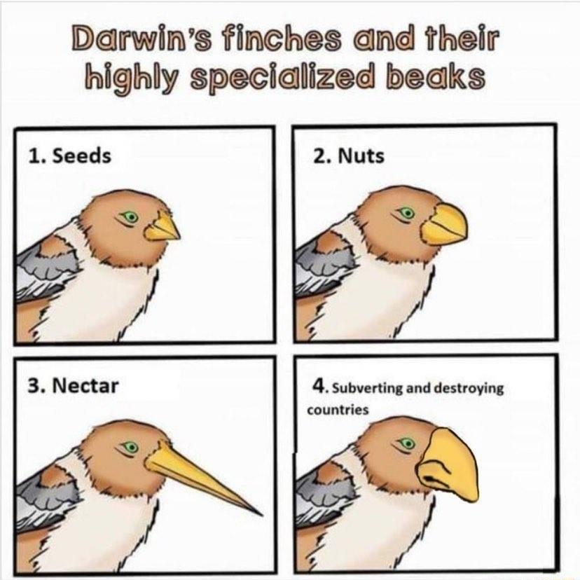 Darwins finches and their highly specidlized beaks 4 Subverting and destroying countries