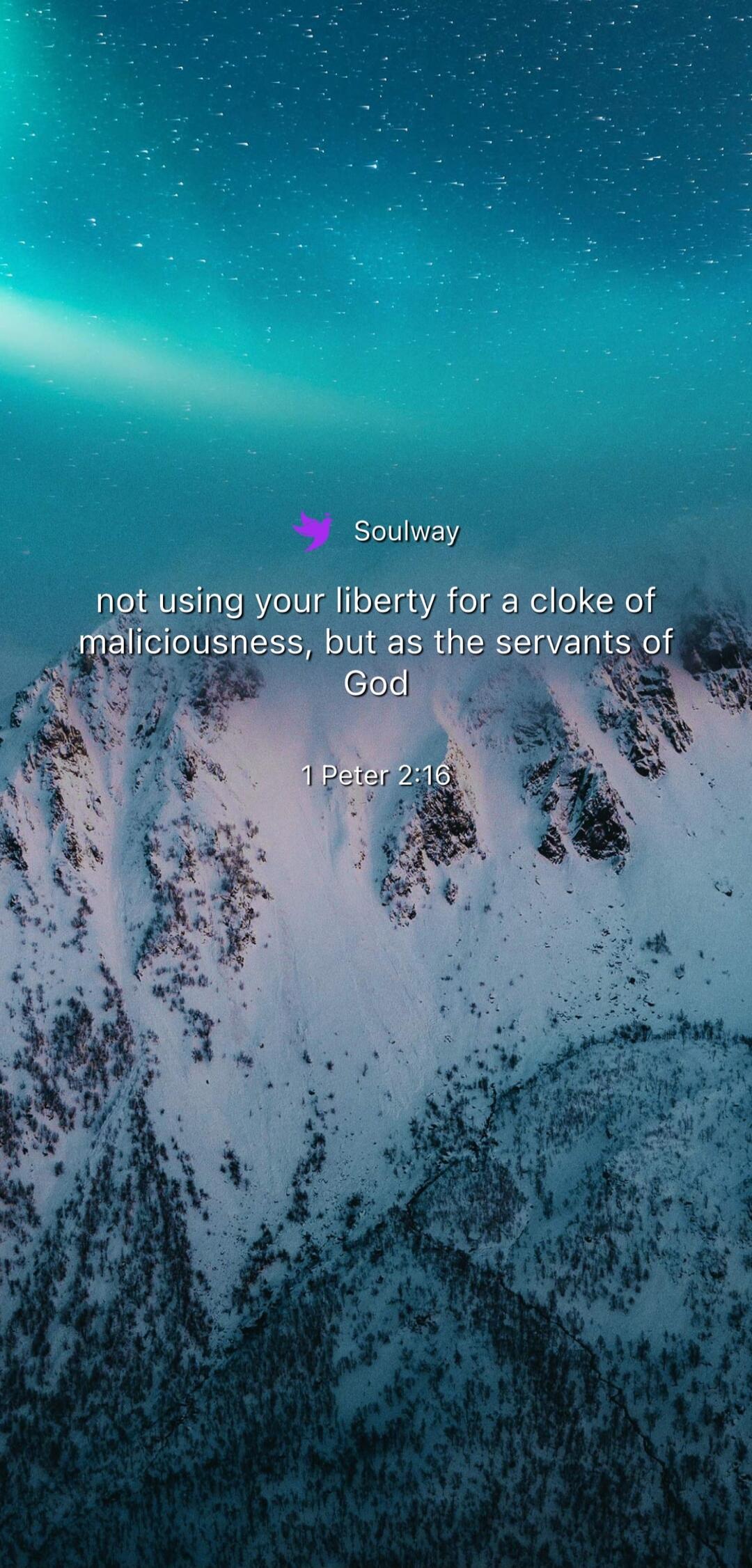 Soulway
not using your liberty for a cloke of malicousness, but as the servants of God

1 Peter 2:16