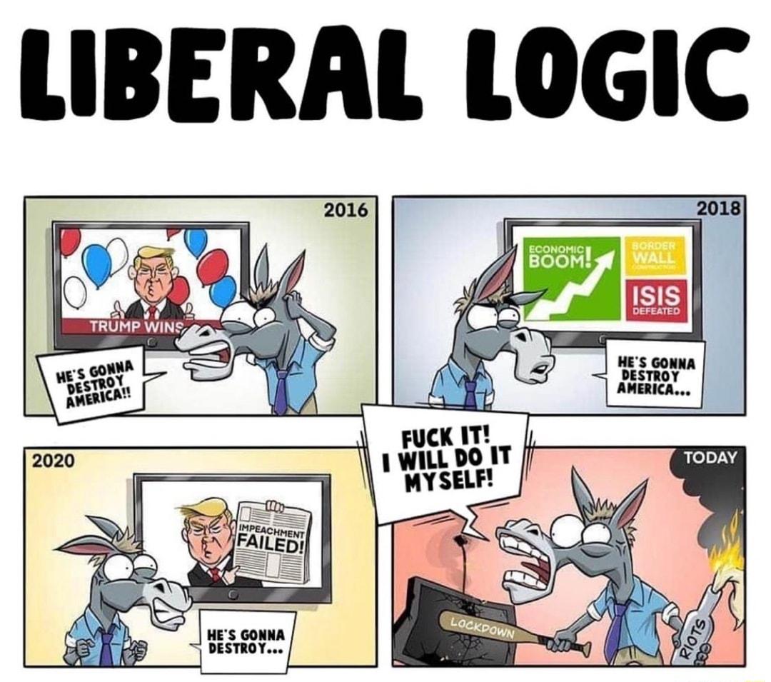 LIBERAL LOGIC 2013