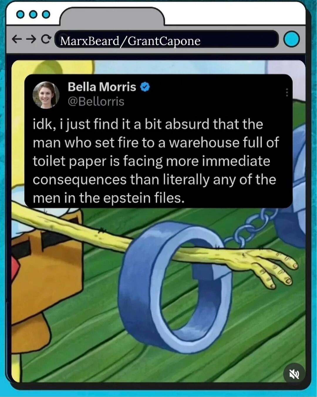 idk, i just find it a bit absurd that the man who set fire to a warehouse full of toilet paper is facing more immediate consequences than literally any of the men in the epstein files.
