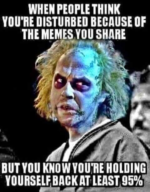 WHEN PEOPLE THINK YOU'RE DISTURBED BECAUSE OF THE MEMES YOU SHARE BUT YOU KNOW YOU'RE HOLDING YOURSELF BACK AT LEAST 95%