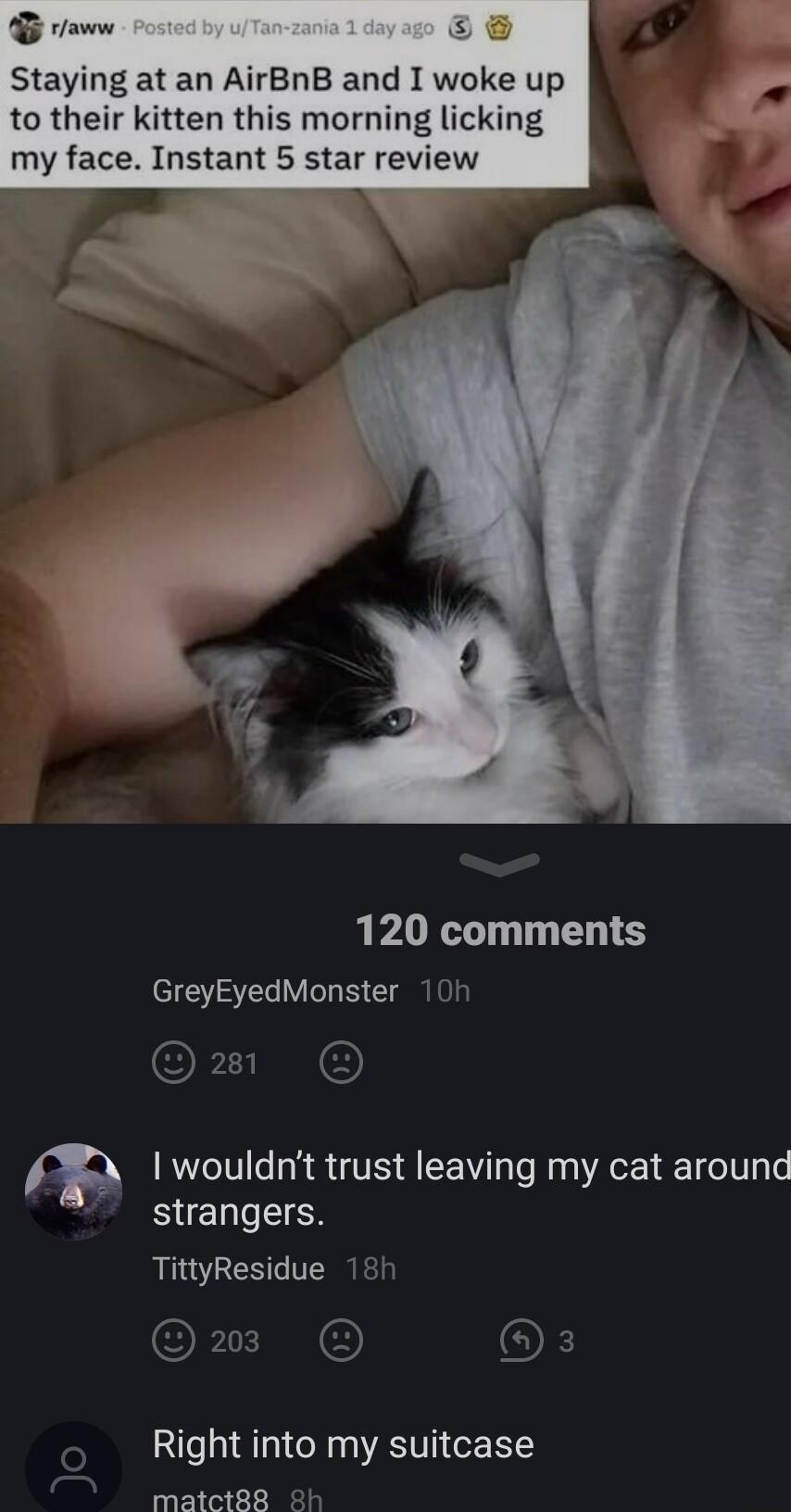 G rraww Staying at an AirBnB and I woke up to their kitten this morning licking my face Instant 5 star review 120 comments GreyEyedMonster 10h FLNE m 1 wouldnt trust leaving my cat around strangers TittyResidue 18h ORI O Right into my suitcase matct88