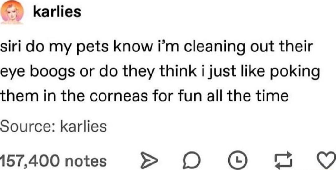a karlies siri do my pets know im cleaning out their eye boogs or do they think i just like poking them in the corneas for fun all the time Source karlies 157400 notes 0 2 O