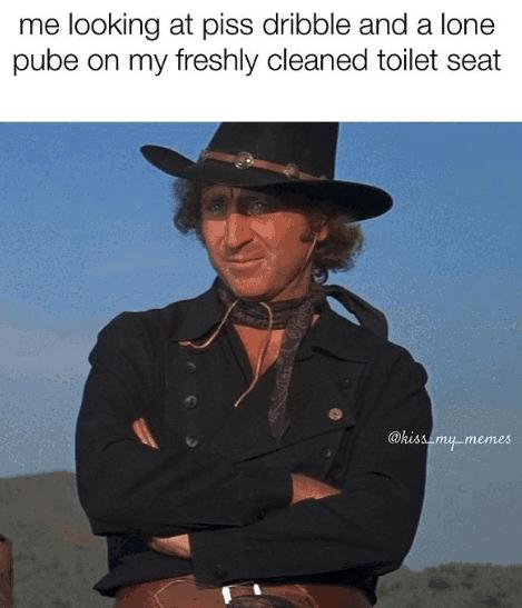 me looking at piss dribble and a lone pube on my freshly cleaned toilet seat A Ohiss g memes