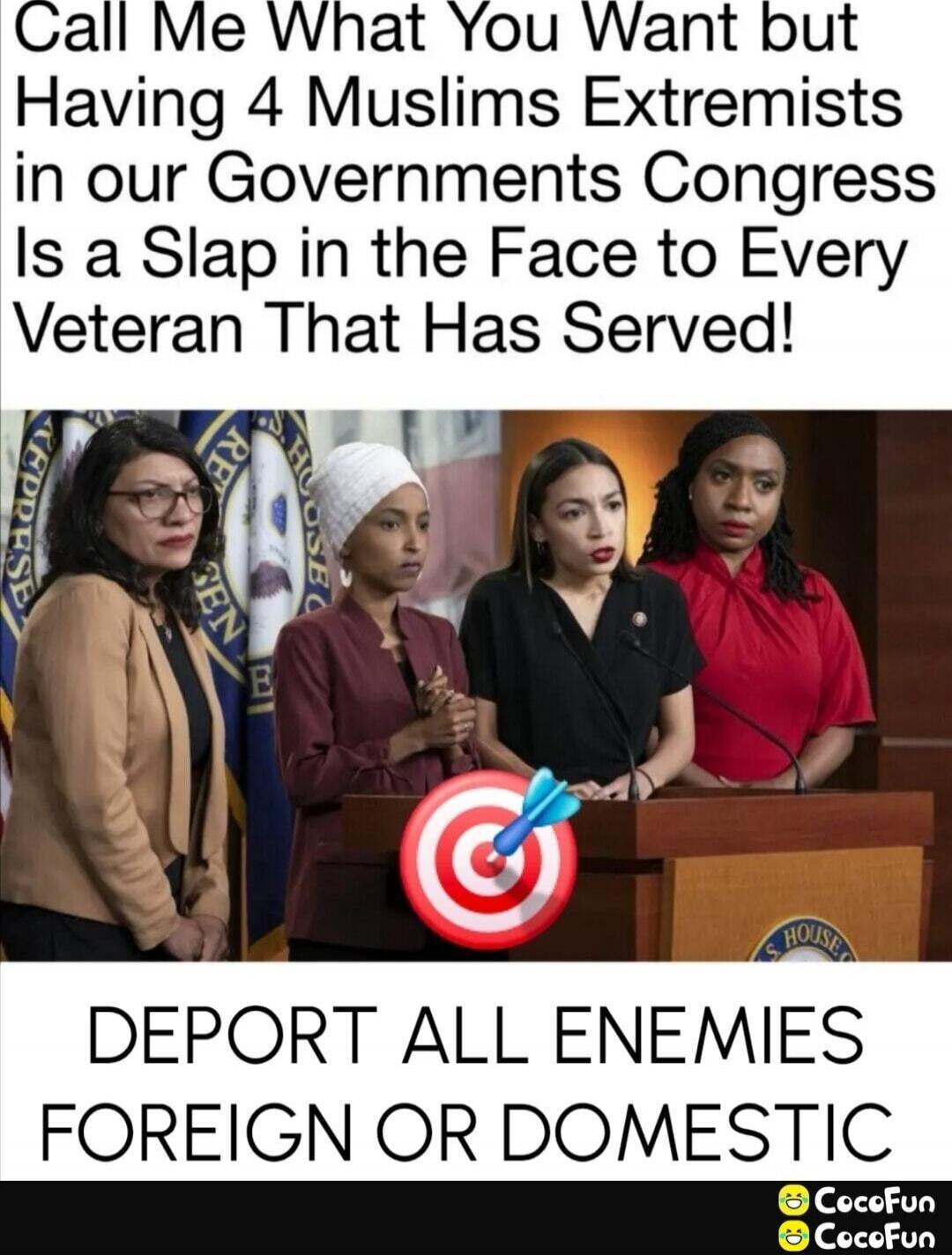 Call Me What You Want but Having 4 Muslims Extremists in our Governments Congress Is a Slap in the Face to Every Veteran That Has Served! DEPORT ALL ENEMIES FOREIGN OR DOMESTIC
