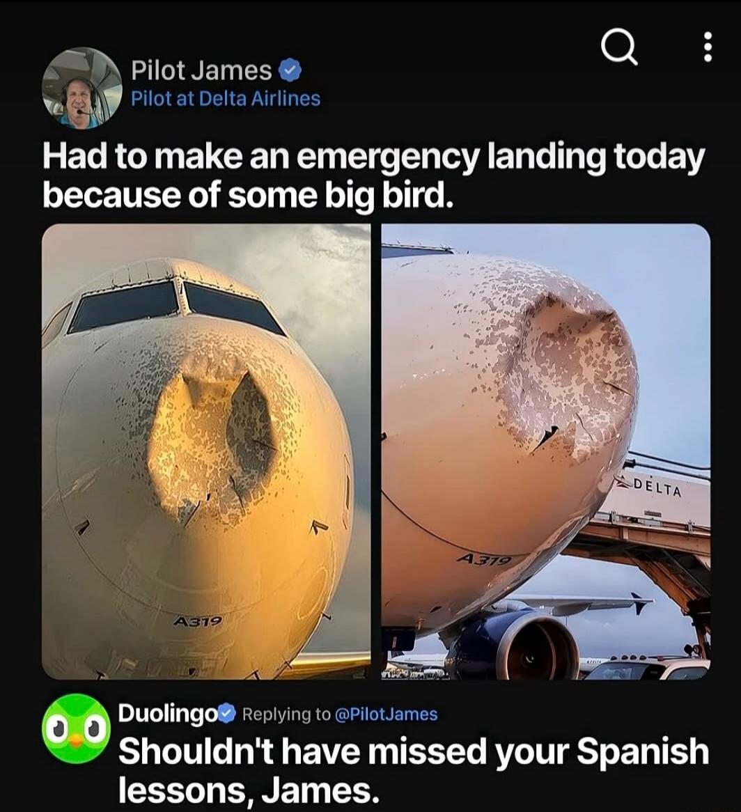 Pilot James, Pilot at Delta Airlines. Had to make an emergency landing today because of some big bird. Duolingo replying to @PilotJames: Shouldn't have missed your Spanish lessons, James. A319, DELTA.