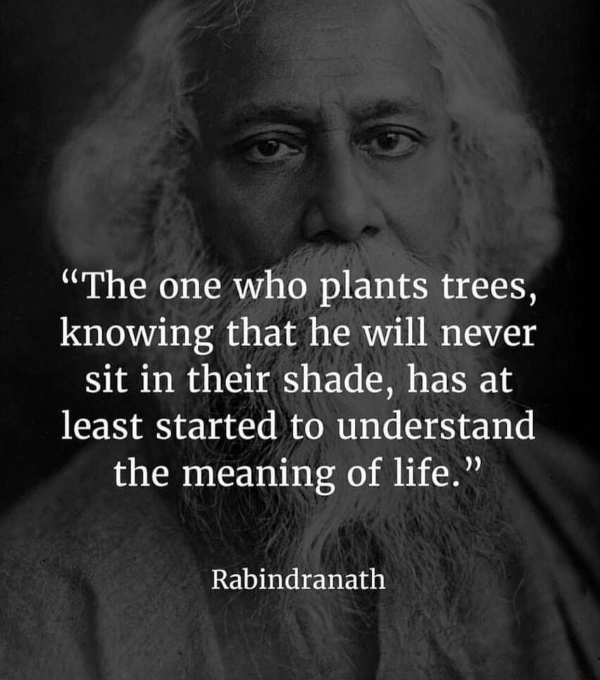 The one who plants trees knowing that he will never sit in their shade has at least started to understand the meaning of life REWLEhE