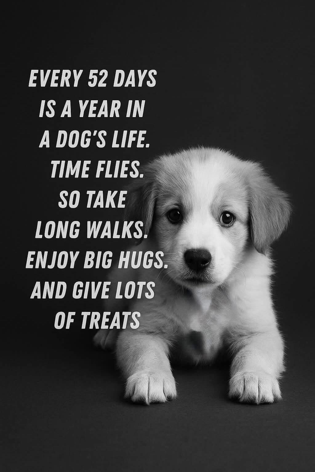 EVERY 52 DAYS IS A YEAR IN A DOG'S LIFE. TIME FLIES. SO TAKE LONG WALKS. ENJOY BIG HUGS. AND GIVE LOTS OF TREATS