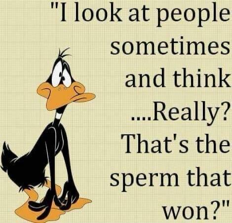 I look at people sometimes and think ....Really? That's the sperm that won?