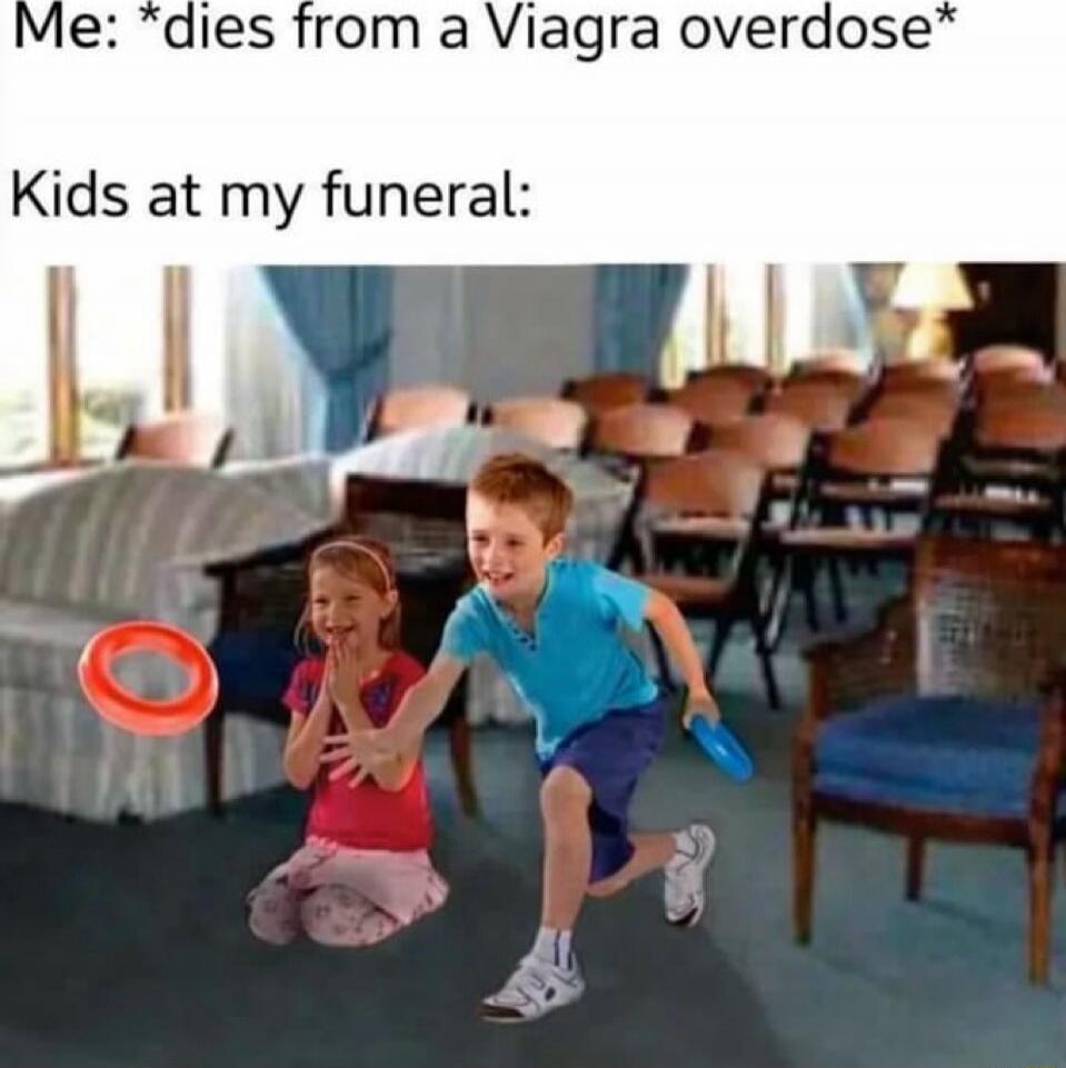 Me: *dies from a Viagra overdose*
Kids at my funeral: