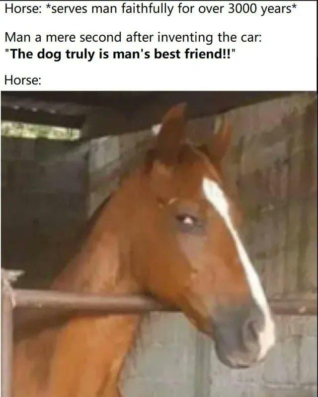 Horse serves man faithfully for over 3000 years Man a mere second after inventing the car The dog truly is mans best friend Horse B o it st