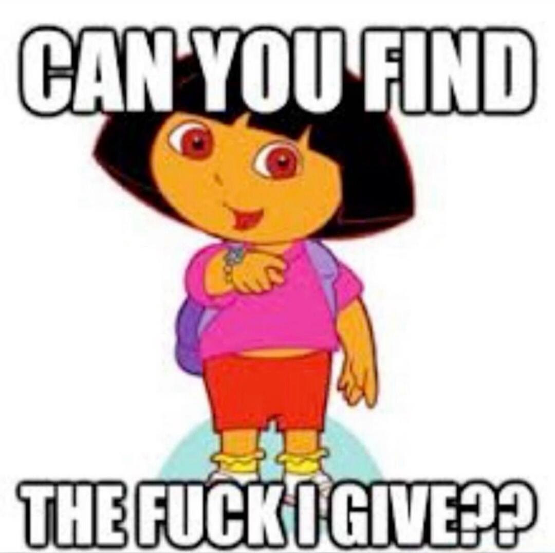 CAN YOU FIND THE FUCK I GIVE??