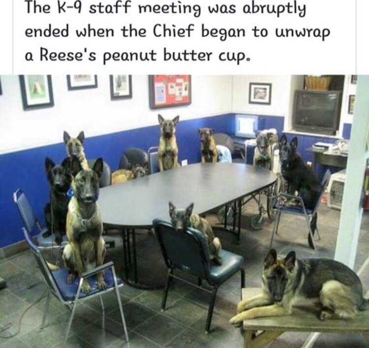 meeting was abruptly ended when the Chief began to unwrap a Reeses peanut butter cup