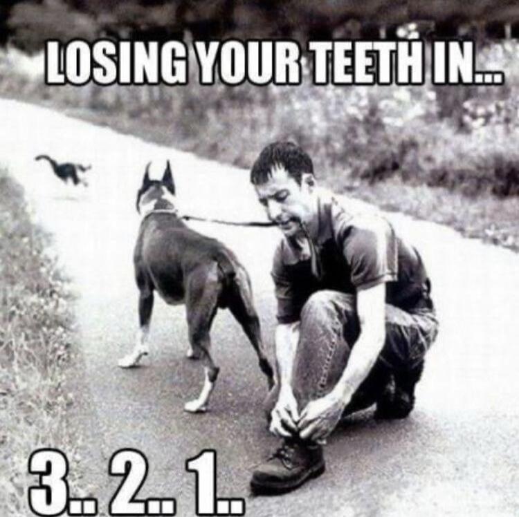 LOSING YOUR TEETH IN... 3..2..1..