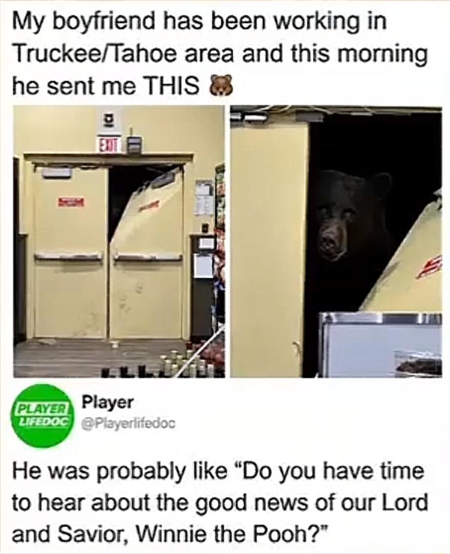 My boyfriend has been working in Truckee/Tahoe area and this morning he sent me THIS 🐻. An exit sign is visible on the door. Below the image, it reads 'Player LIFEDOC @Playerlifedoc'. The caption states: 'He was probably like 