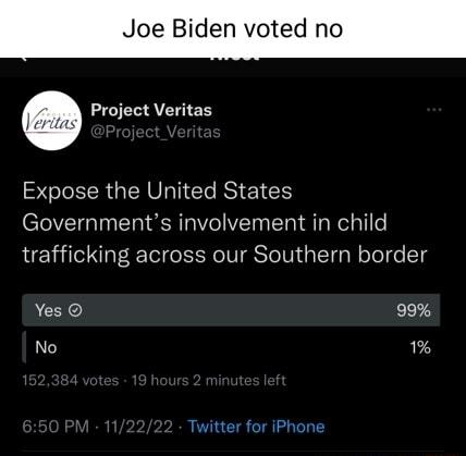 den voted no 0 Project Veritas STLEERGENSLIC RS SIS Governments involvement in child trafficking across our Southern border oe Yes 99 No 1 Twitter for iPhone