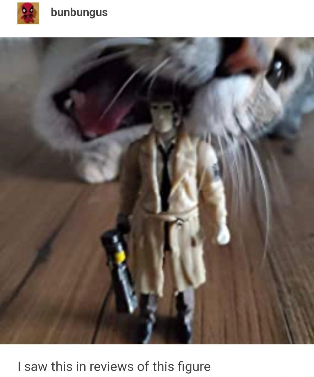 A bunbungus saw this in reviews of this figure