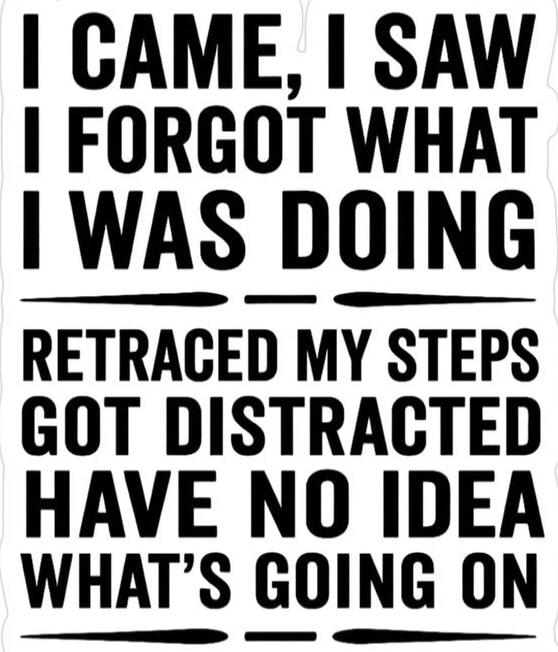 I CAME, I SAW, I FORGOT WHAT I WAS DOING. RETRACED MY STEPS, GOT DISTRACTED, HAVE NO IDEA WHAT'S GOING ON.