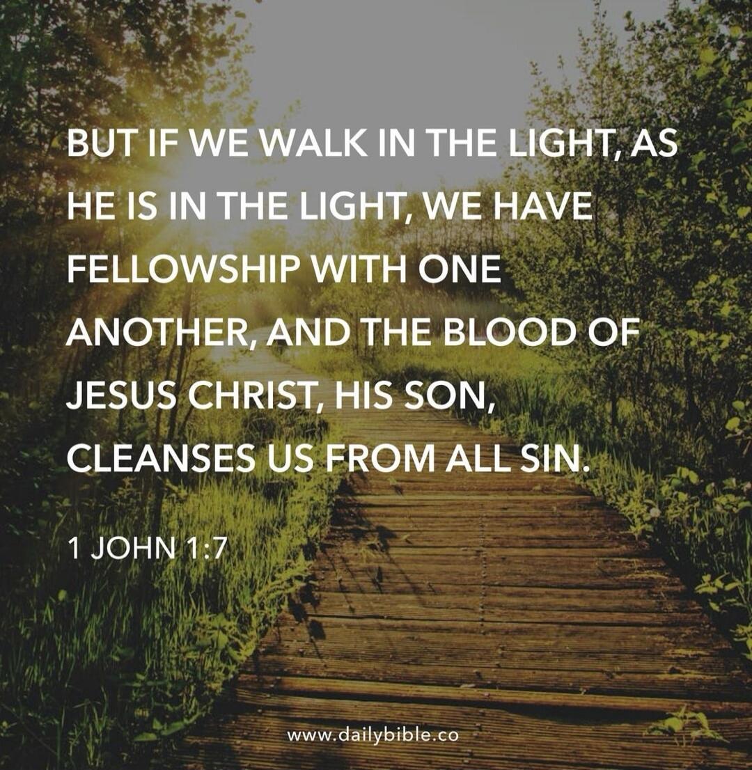 BUT IF WE WALK IN THE LIGHT, AS HE IS IN THE LIGHT, WE HAVE FELLOWSHIP WITH ONE ANOTHER, AND THE BLOOD OF JESUS CHRIST, HIS SON, CLEANSes US FROM ALL SIN. 1 JOHN 1:7
www.dailybible.co