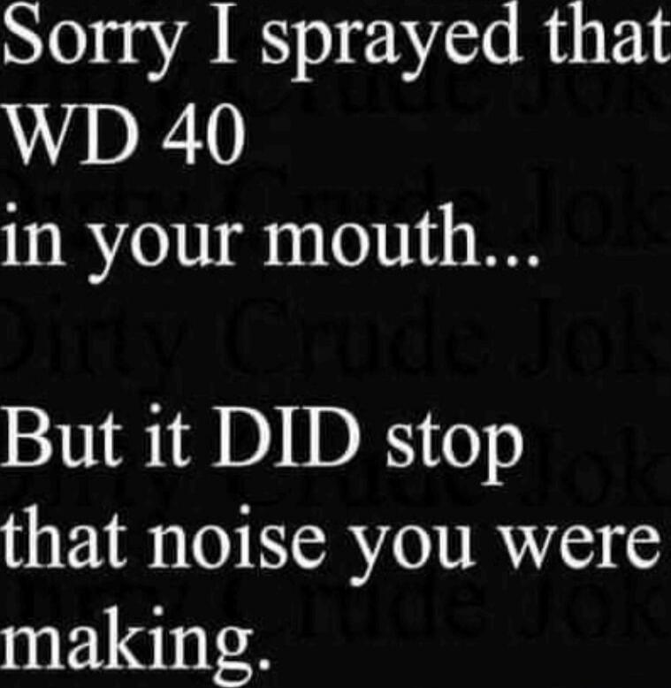 Sorry I sprayed that WD 40 in your mouth... But it DID stop that noise you were making.