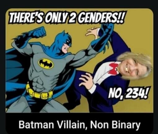 THERE'S ONLY 2 GENDERS!! NO, 234! Batman Villain, Non Binary