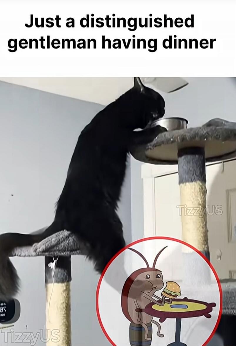 Just a distinguished gentleman having dinner