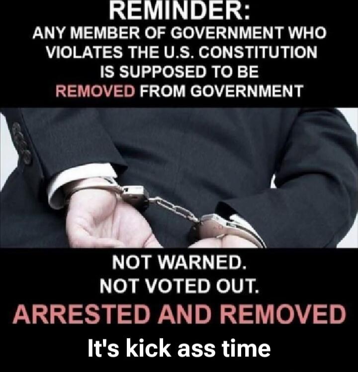 REMINDER: ANY MEMBER OF GOVERNMENT WHO VIOLATES THE U.S. CONSTITUTION IS SUPPOSED TO BE REMOVED FROM GOVERNMENT NOT WARNED. NOT VOTED OUT. ARRESTED AND REMOVED It's kick ass time