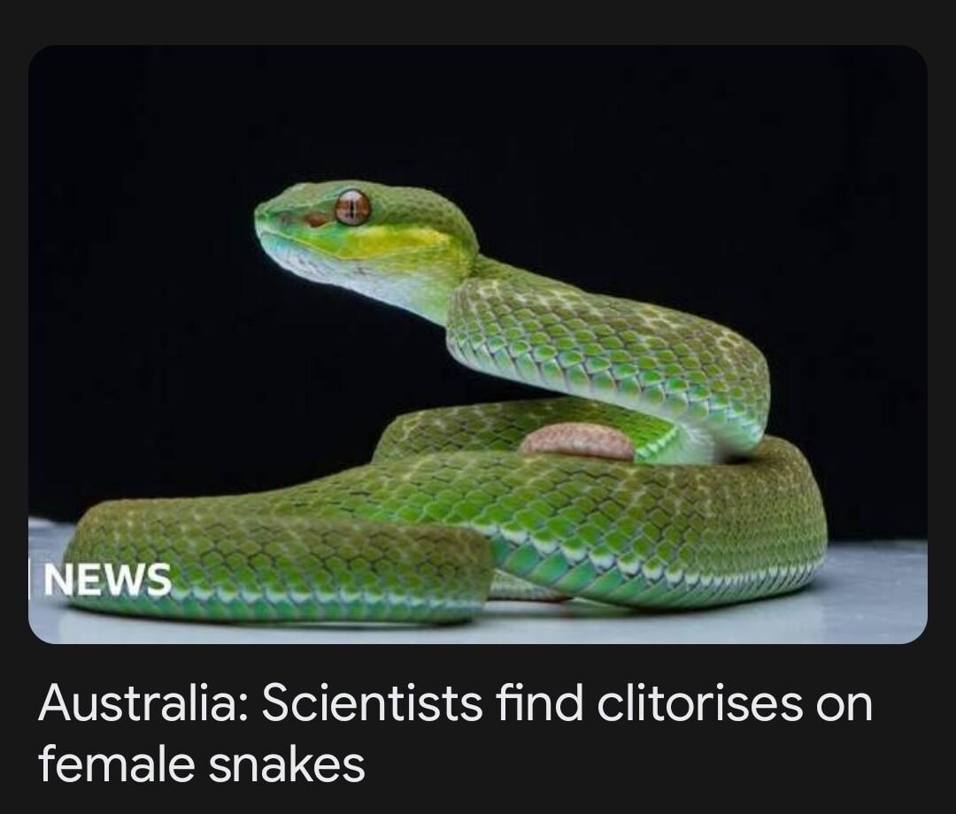 VSRS Shilale Rellielg N oly AN ISR ETEN BBC 2d