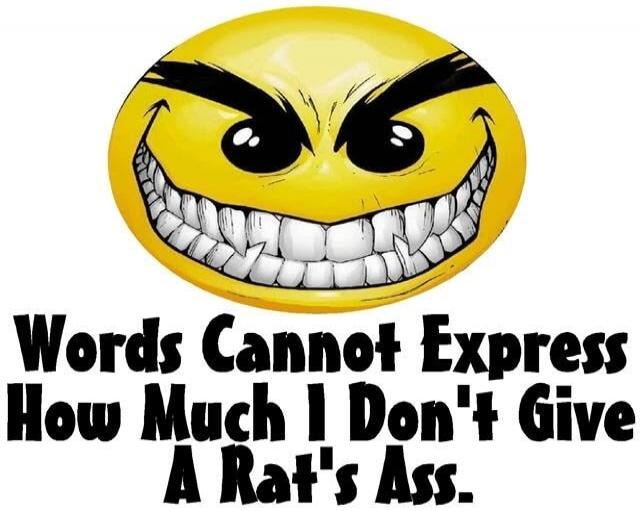Words Cannot Express How Much I Don't Give A Rat's Ass.