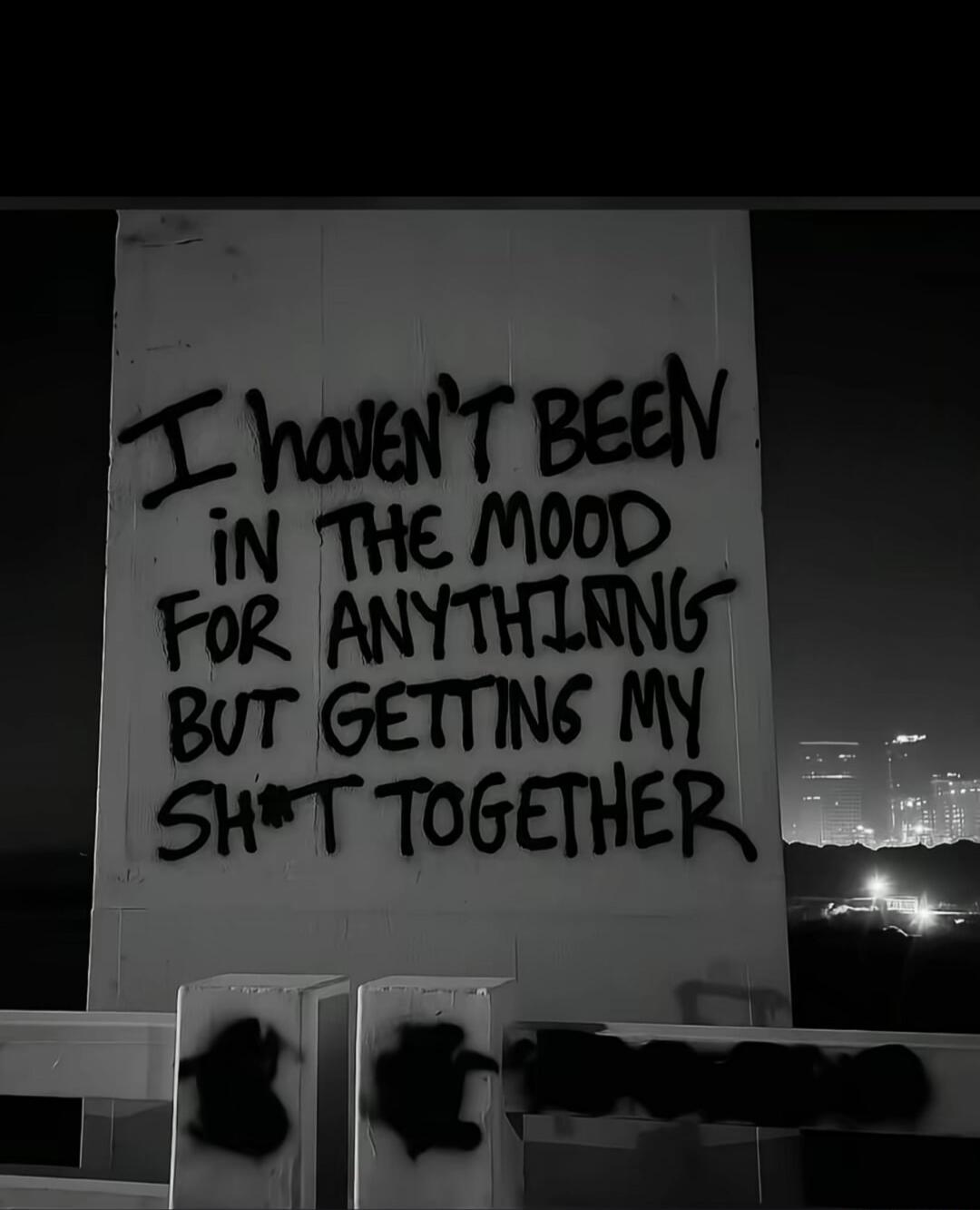 I haven't been in the mood for anything but getting my sh*t together