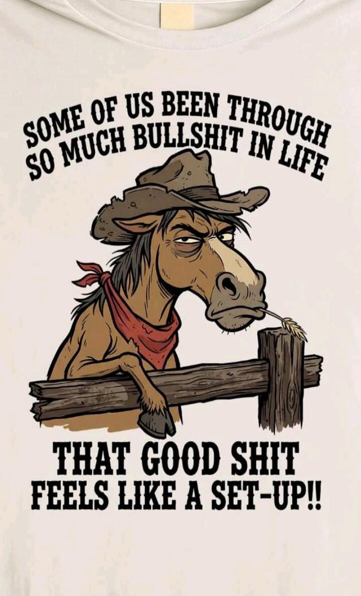 SOME OF US BEEN THROUGH SO MUCH BULLSHIT IN LIFE THAT GOOD SHIT FEELS LIKE A SET-UP!!