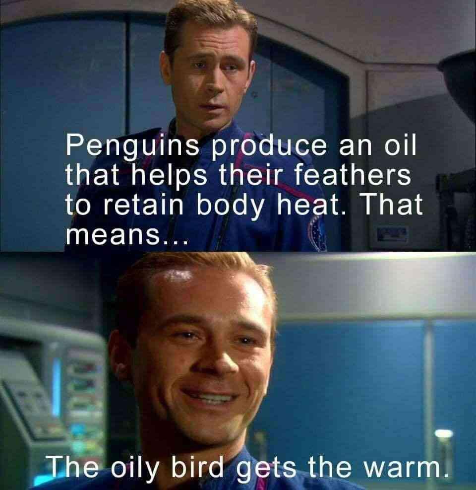 v Penguins produce an oil LGETI R G S RN TS Aol gI e 1Ta W oToTe A F 1 M N F 16 means k