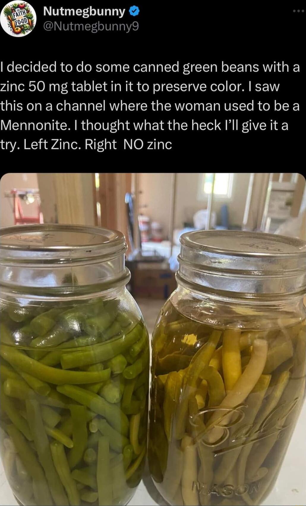 Nutmegbunny Nutmegbunny9 decided to do some canned green beans with a zinc 50 mg tablet in it to preserve color saw GIEEL YL ENL R EIER GERVC I EL IR R oK Mennonite thought what the heck Ill give ita try Left Zinc Right NO zinc