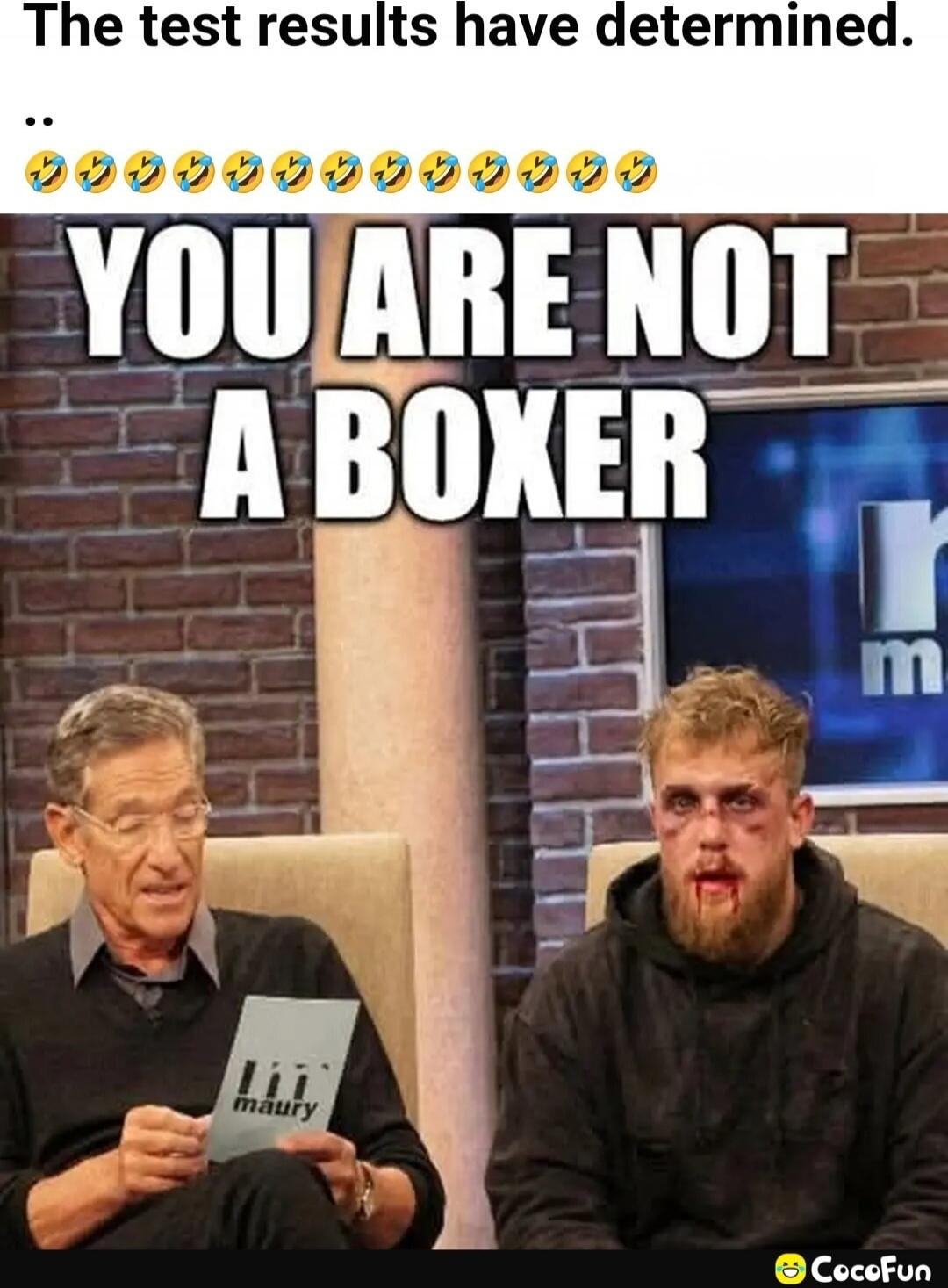 The test results have determined. .. YOU ARE NOT A BOXER