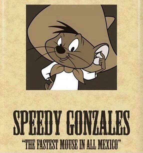 SPEEDY GONZALES
